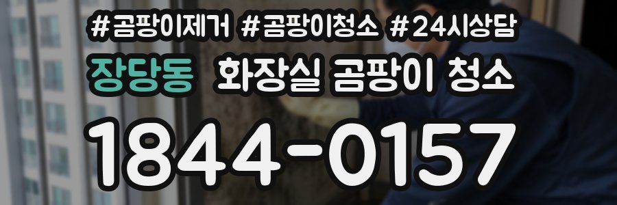 장당동 화장실 곰팡이 청소