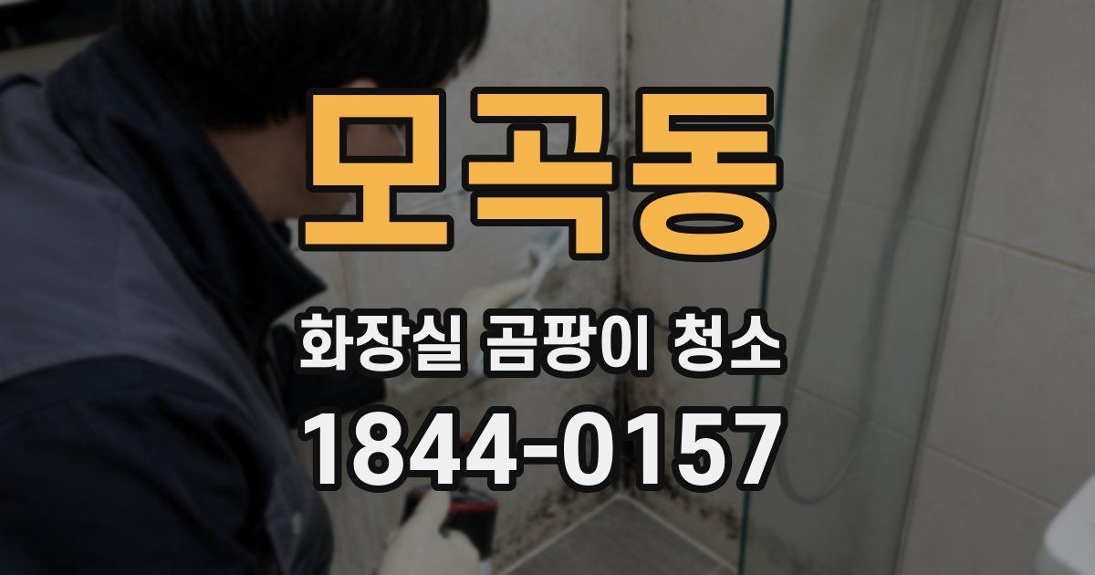 모곡동 화장실 곰팡이 청소
