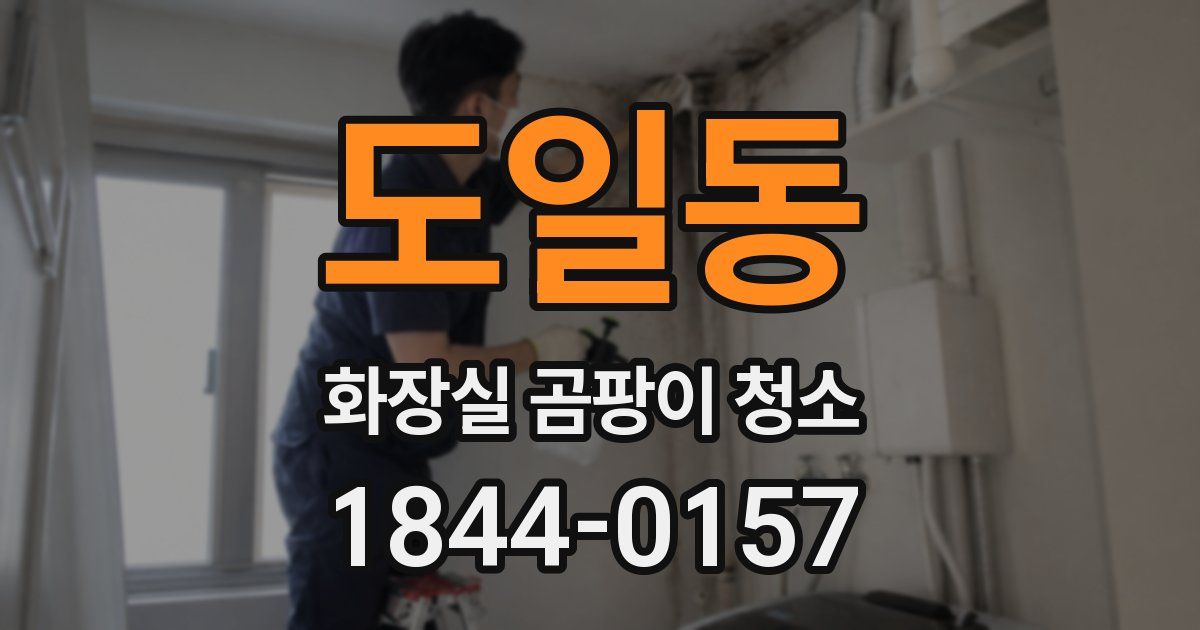 도일동 화장실 곰팡이 청소