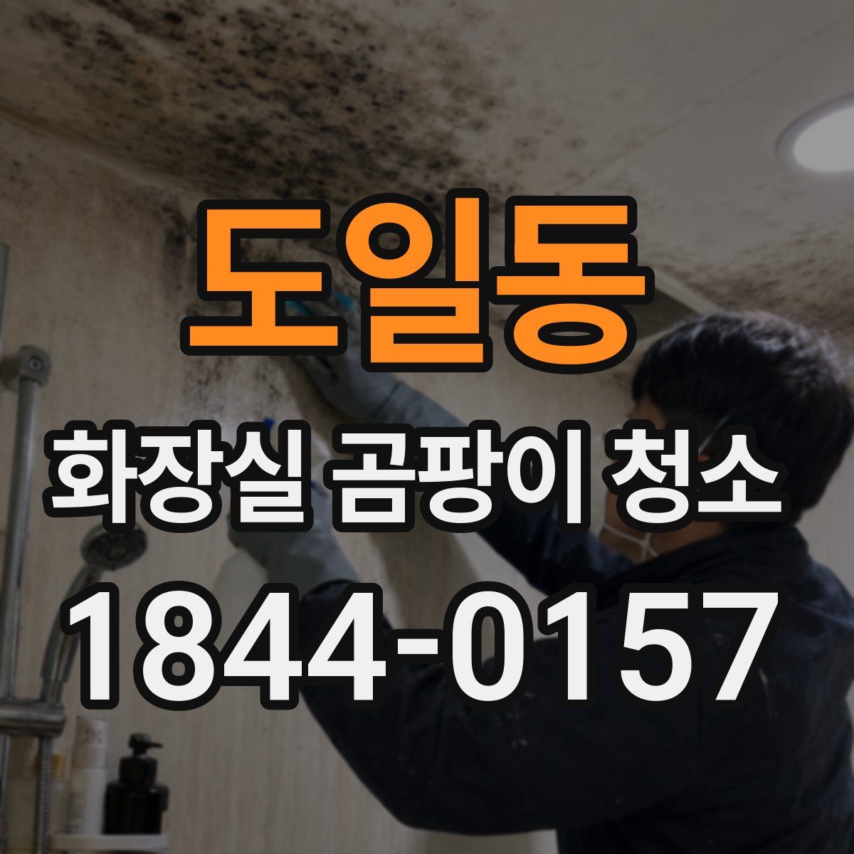 도일동 화장실 곰팡이 청소