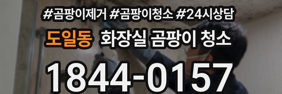 도일동 화장실 곰팡이 청소