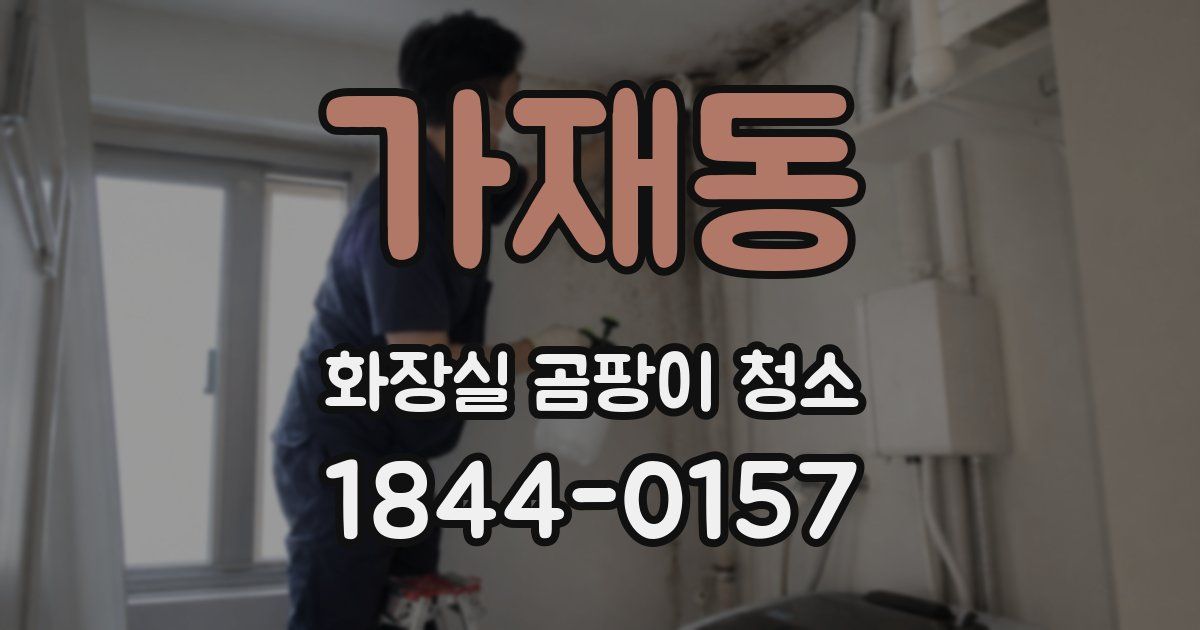 가재동 화장실 곰팡이 청소