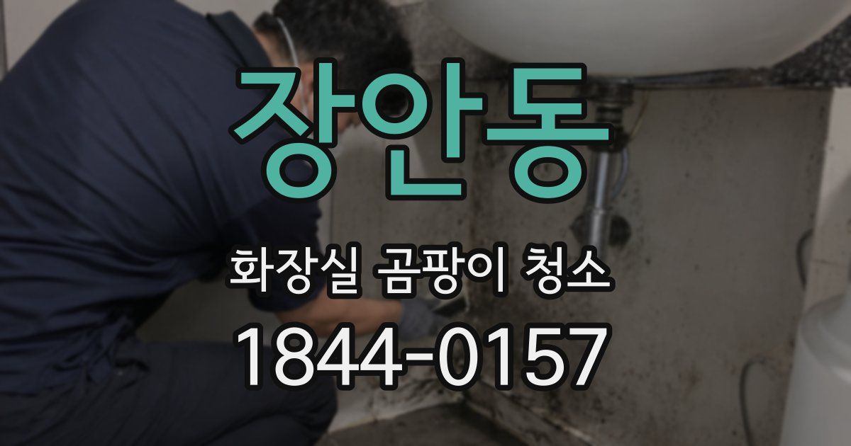 장안동 화장실 곰팡이 청소
