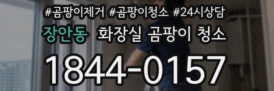 장안동 화장실 곰팡이 청소