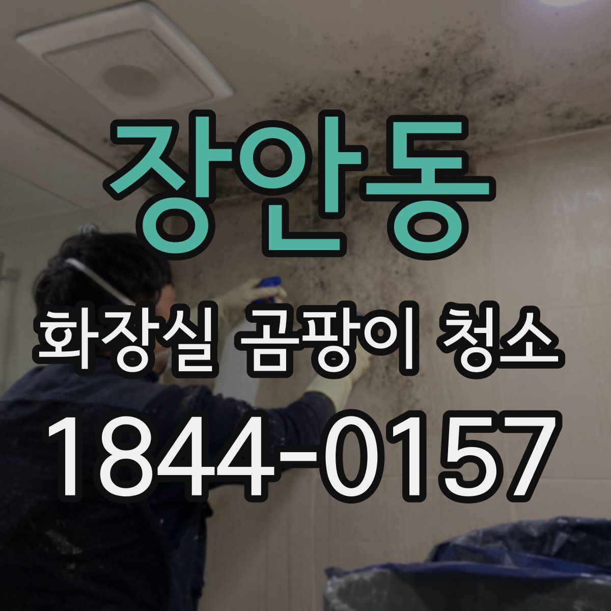 장안동 화장실 곰팡이 청소