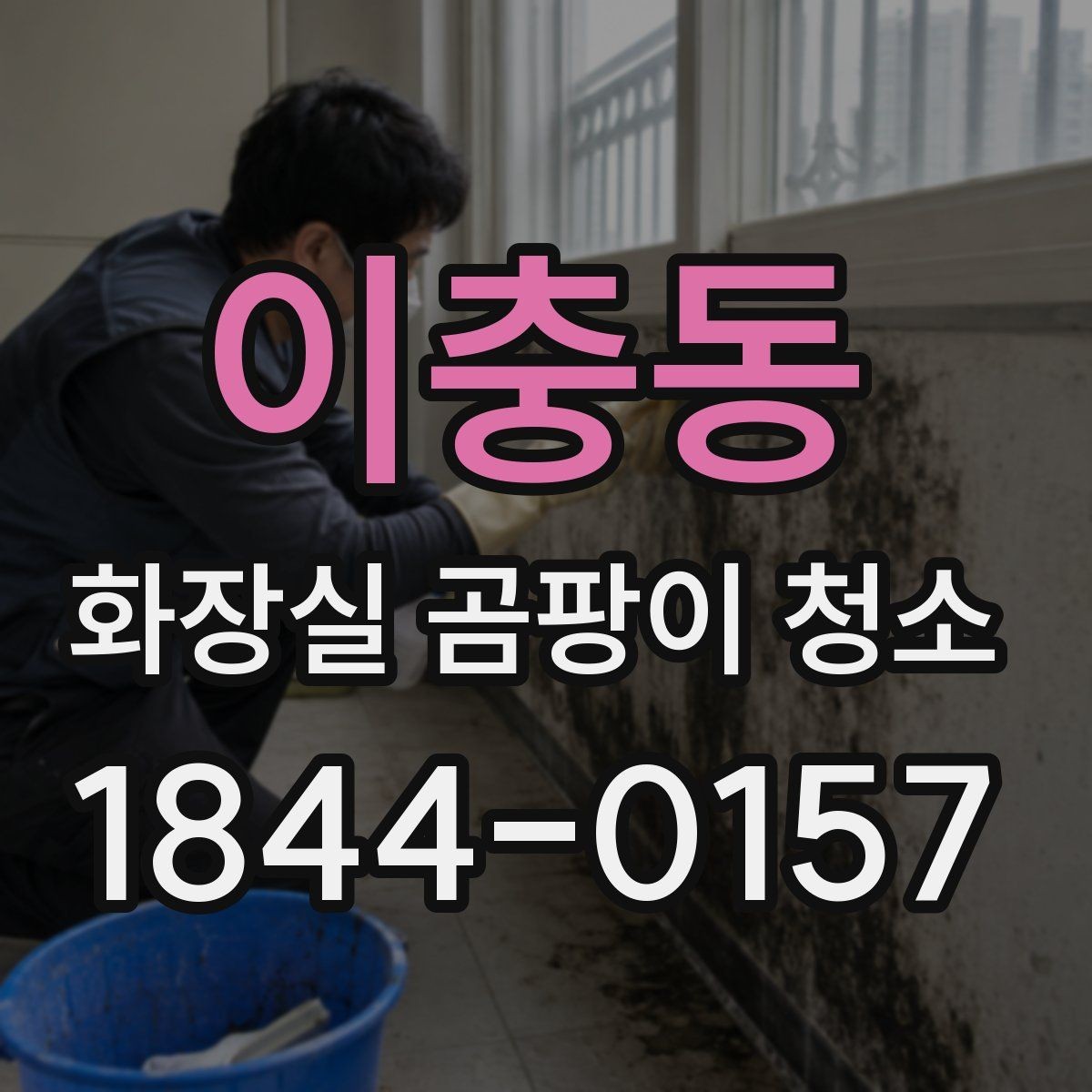 이충동 화장실 곰팡이 청소 실리콘 변색과 벽면 오염을 구분하기
