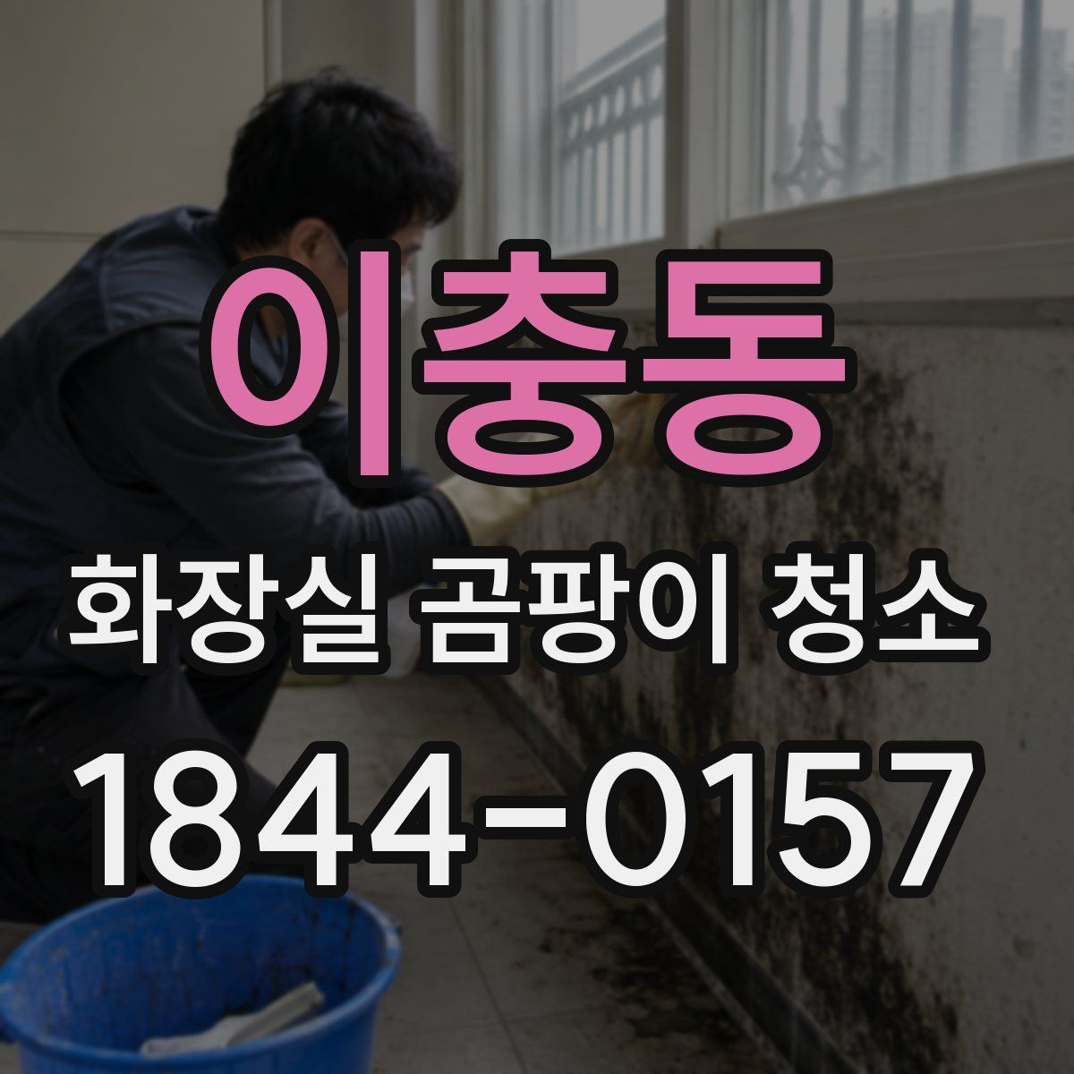 이충동 화장실 곰팡이 청소