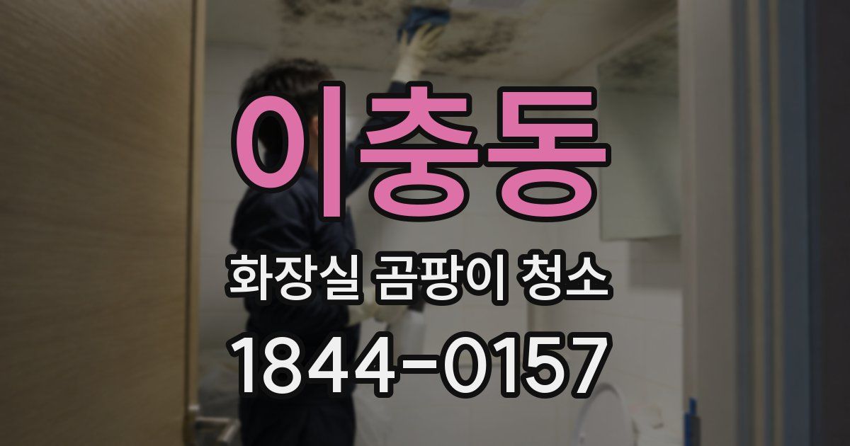 이충동 화장실 곰팡이 청소