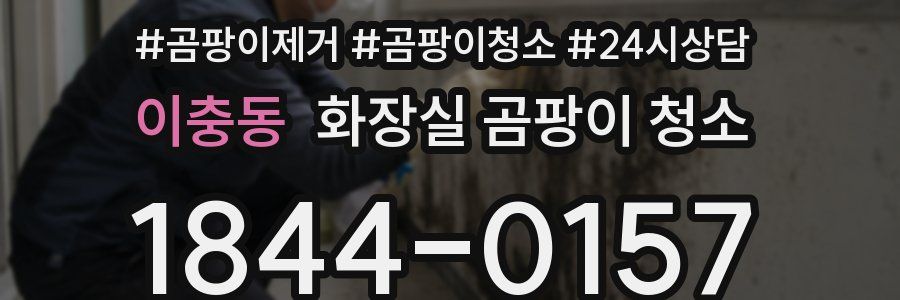 이충동 화장실 곰팡이 청소