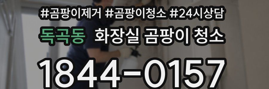 독곡동 화장실 곰팡이 청소