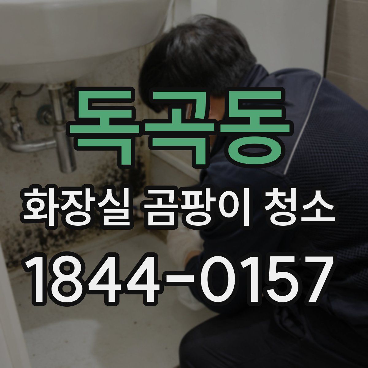 독곡동 화장실 곰팡이 청소