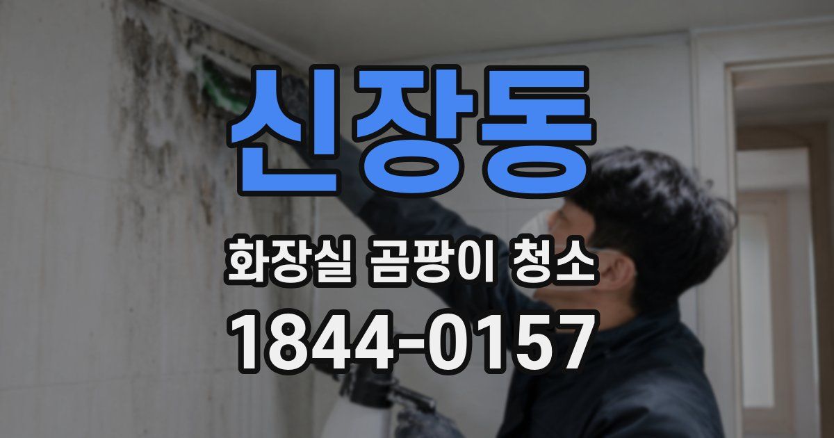 신장동 화장실 곰팡이 청소