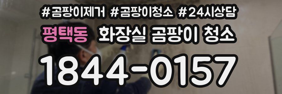 평택동 화장실 곰팡이 청소