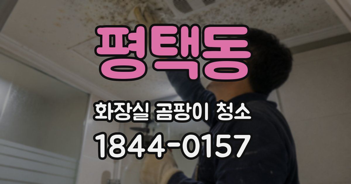 평택동 화장실 곰팡이 청소