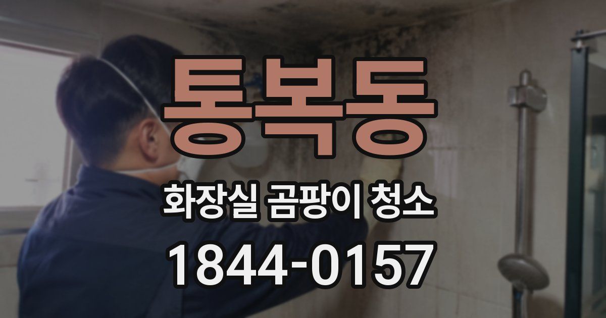 통복동 화장실 곰팡이 청소