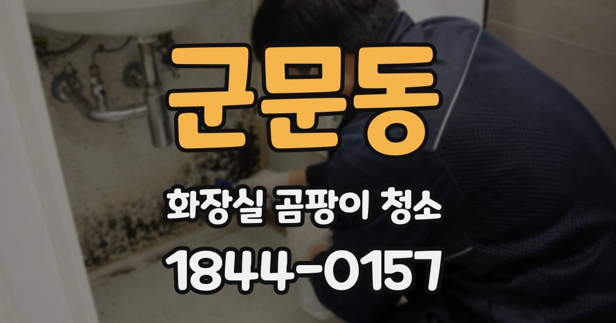 군문동 화장실 곰팡이 청소