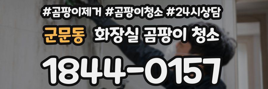 군문동 화장실 곰팡이 청소