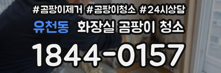 유천동 화장실 곰팡이 청소