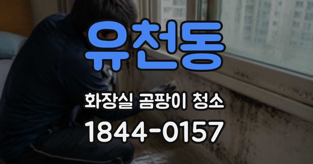유천동 화장실 곰팡이 청소