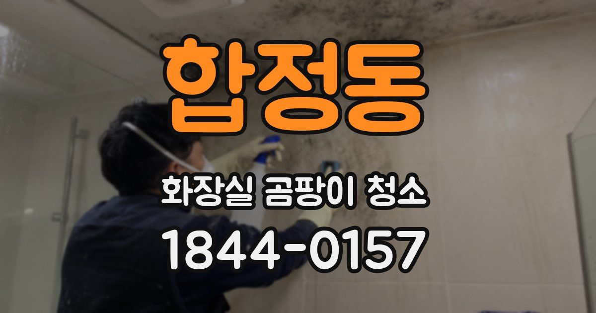 합정동 화장실 곰팡이 청소