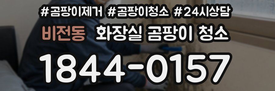 비전동 화장실 곰팡이 청소