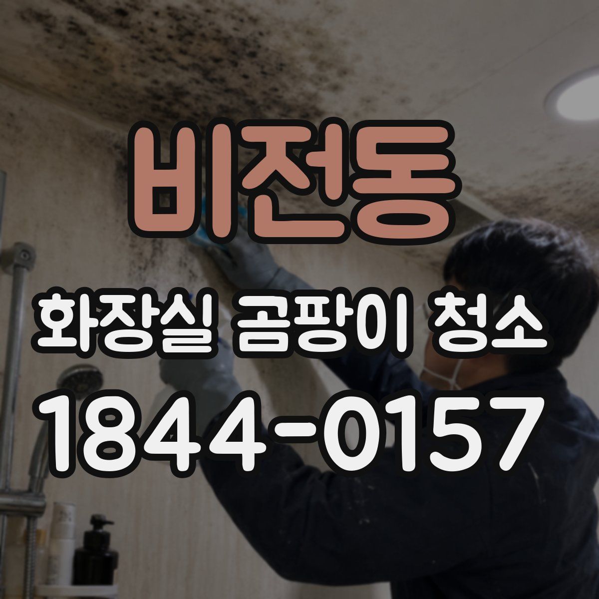 비전동 화장실 곰팡이 청소
