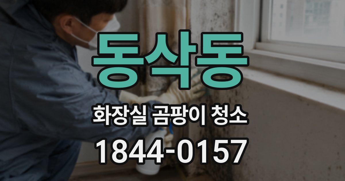 동삭동 화장실 곰팡이 청소