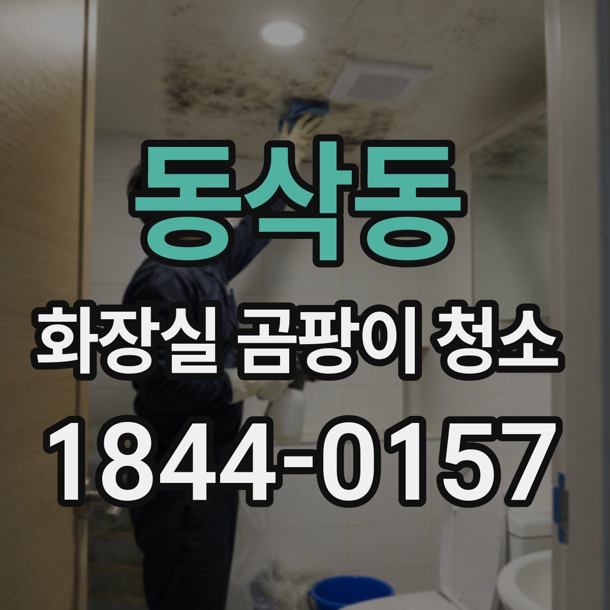 동삭동 화장실 곰팡이 청소