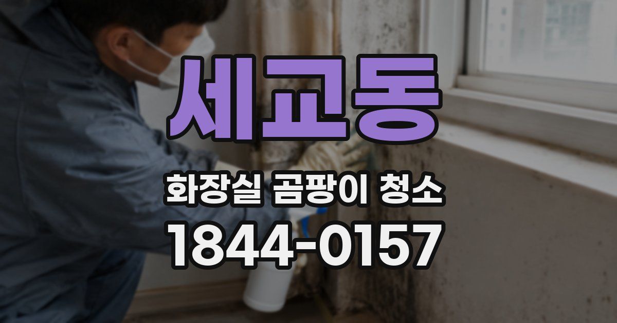 세교동 화장실 곰팡이 청소