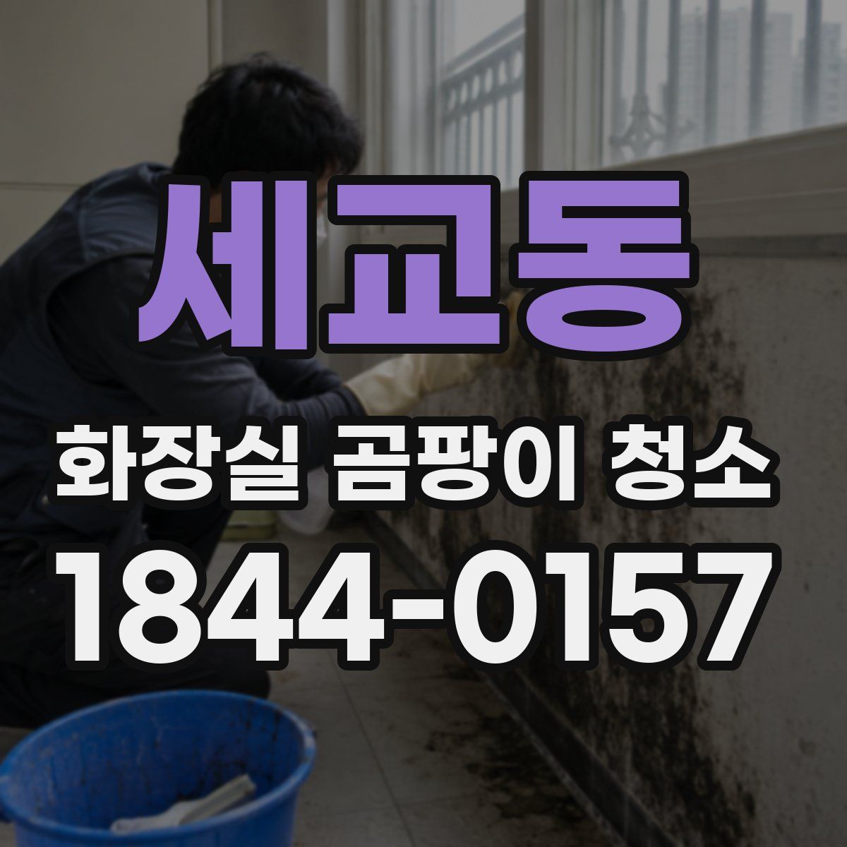 세교동 화장실 곰팡이 청소