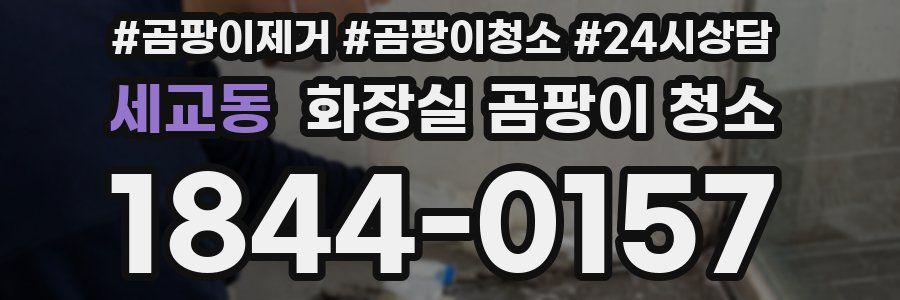 세교동 화장실 곰팡이 청소