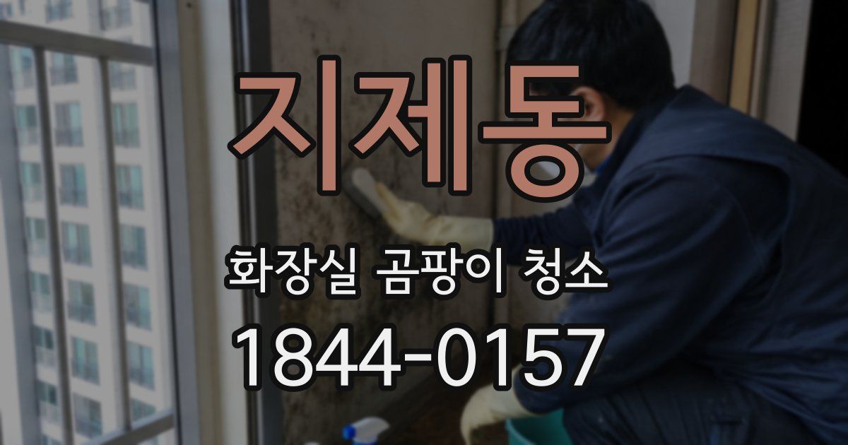 지제동 화장실 곰팡이 청소