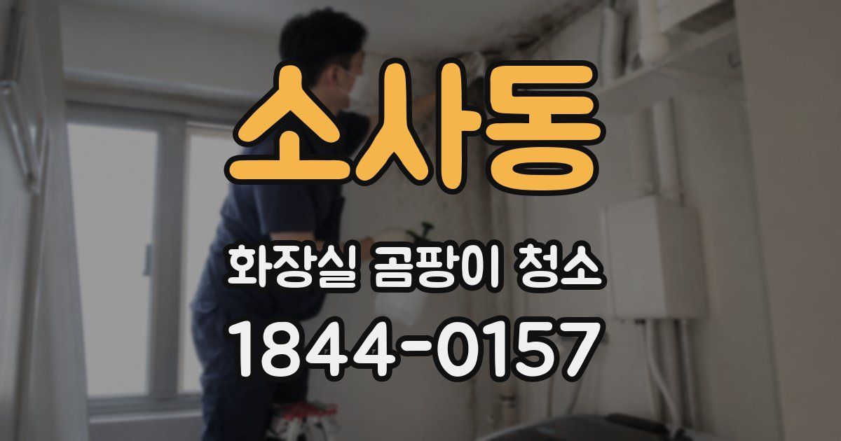 소사동 화장실 곰팡이 청소