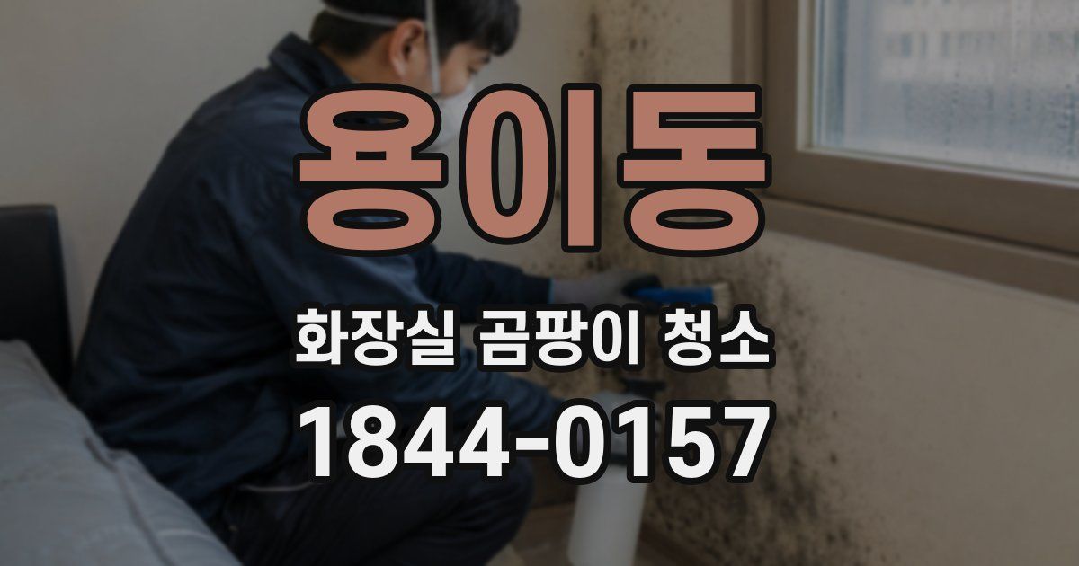 용이동 화장실 곰팡이 청소