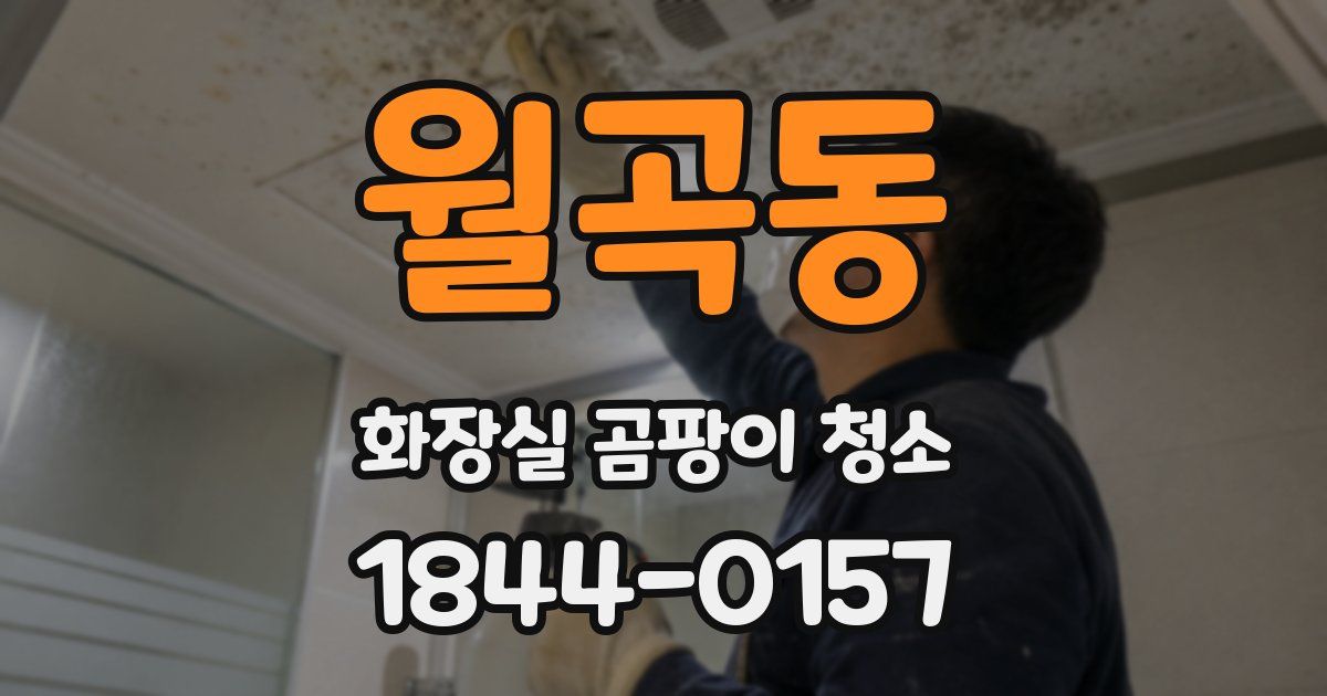 월곡동 화장실 곰팡이 청소