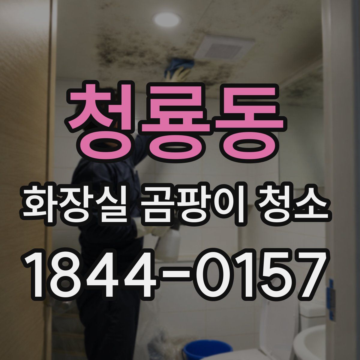 청룡동 화장실 곰팡이 청소