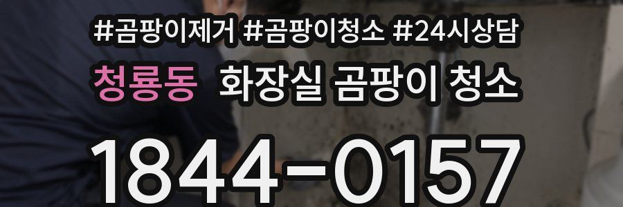 청룡동 화장실 곰팡이 청소