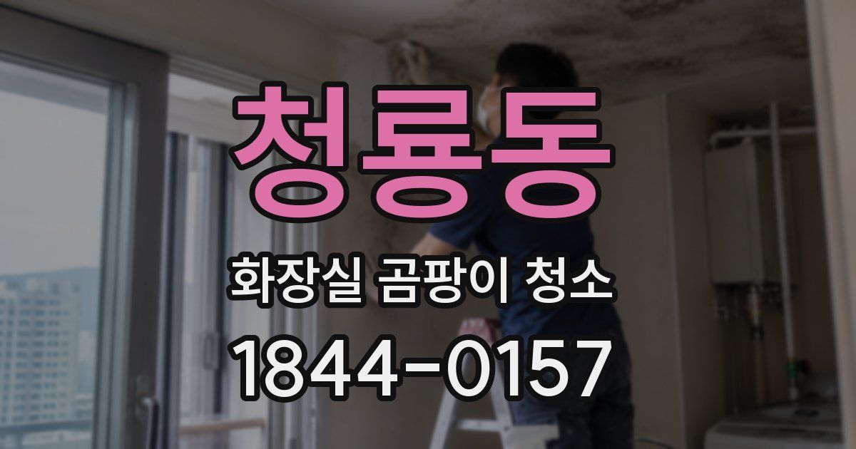 청룡동 화장실 곰팡이 청소
