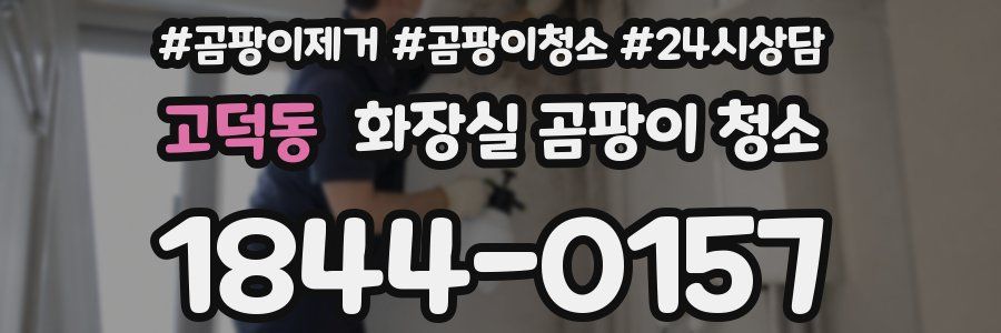 고덕동 화장실 곰팡이 청소