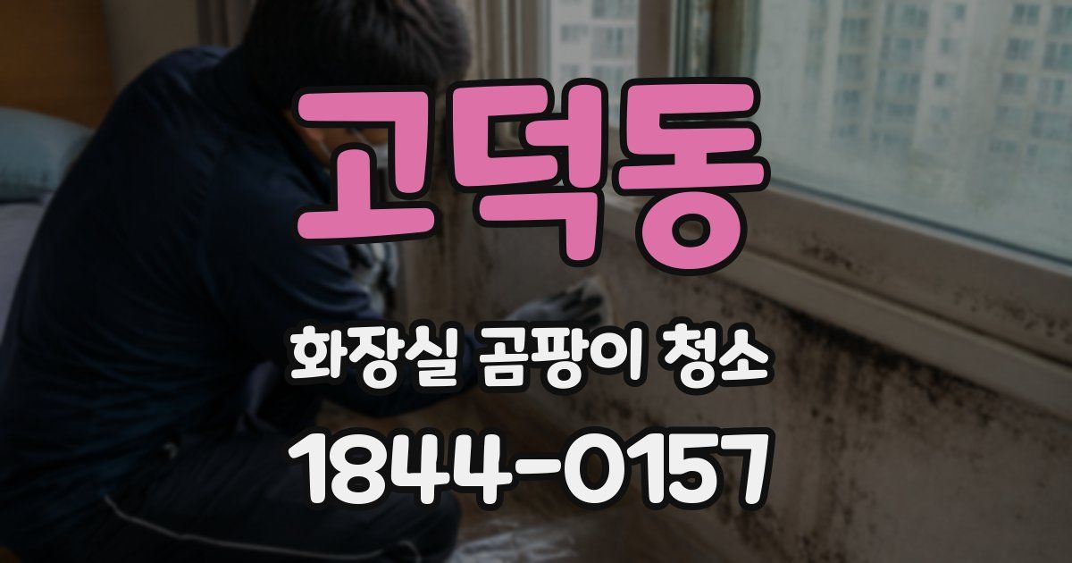 고덕동 화장실 곰팡이 청소