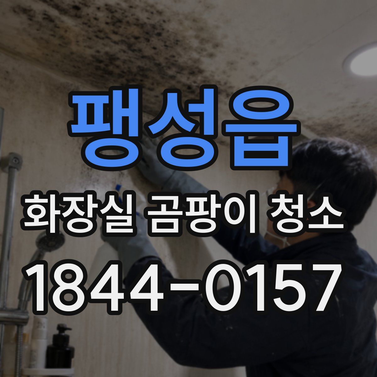 팽성읍 화장실 곰팡이 청소
