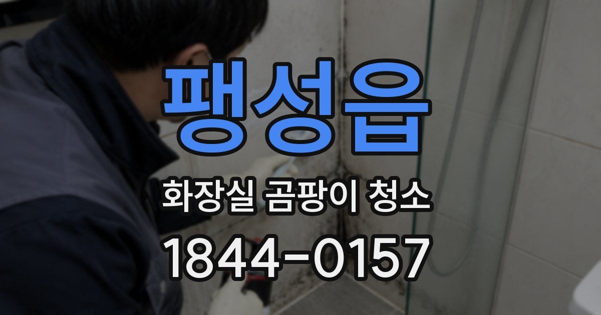 팽성읍 화장실 곰팡이 청소