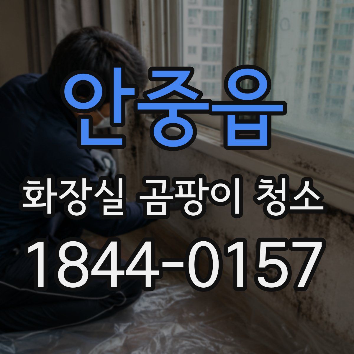 안중읍 화장실 곰팡이 청소