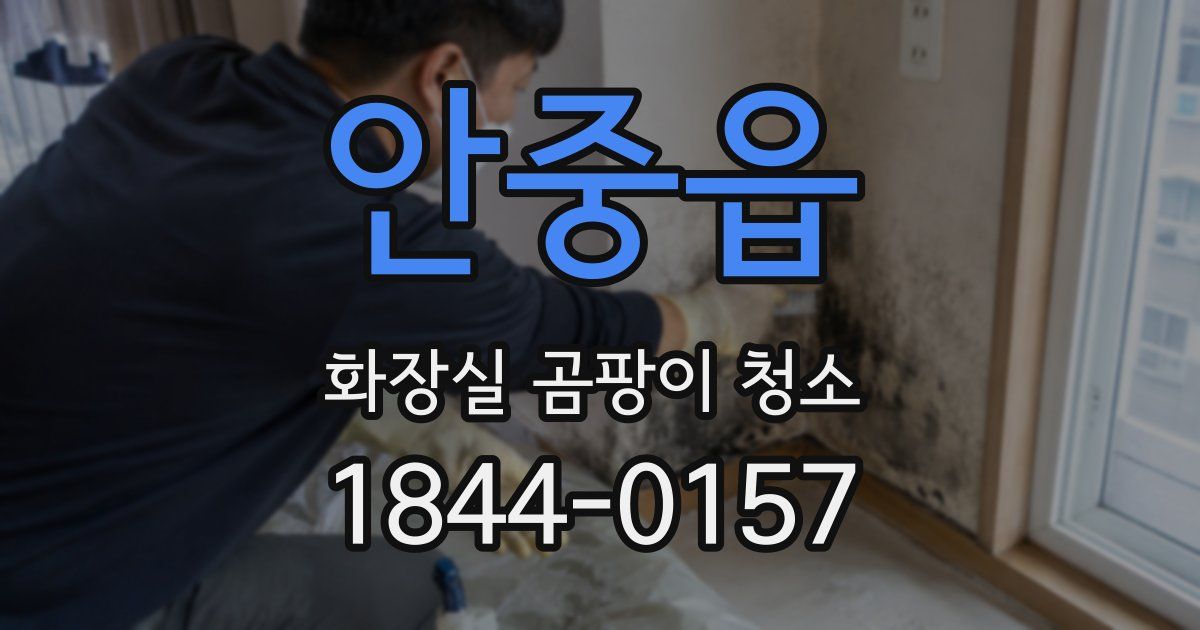 안중읍 화장실 곰팡이 청소