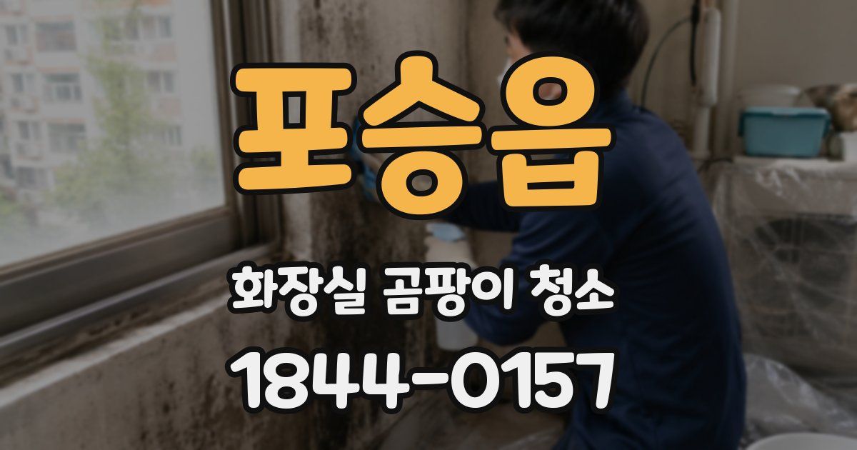 포승읍 화장실 곰팡이 청소