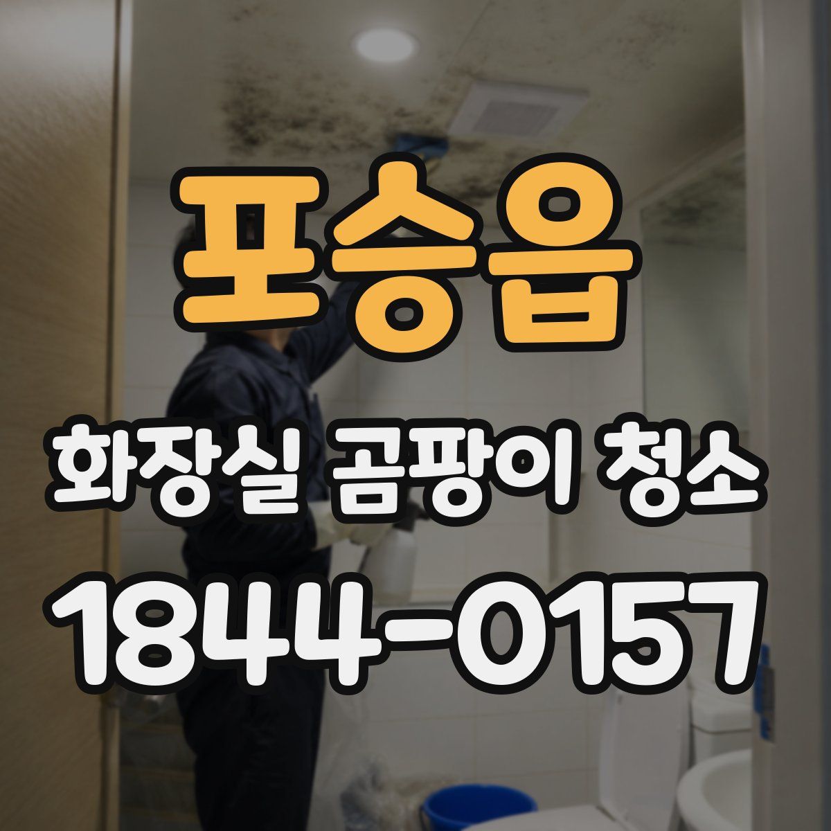 포승읍 화장실 곰팡이 청소