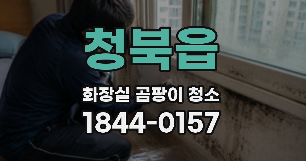 청북읍 화장실 곰팡이 청소