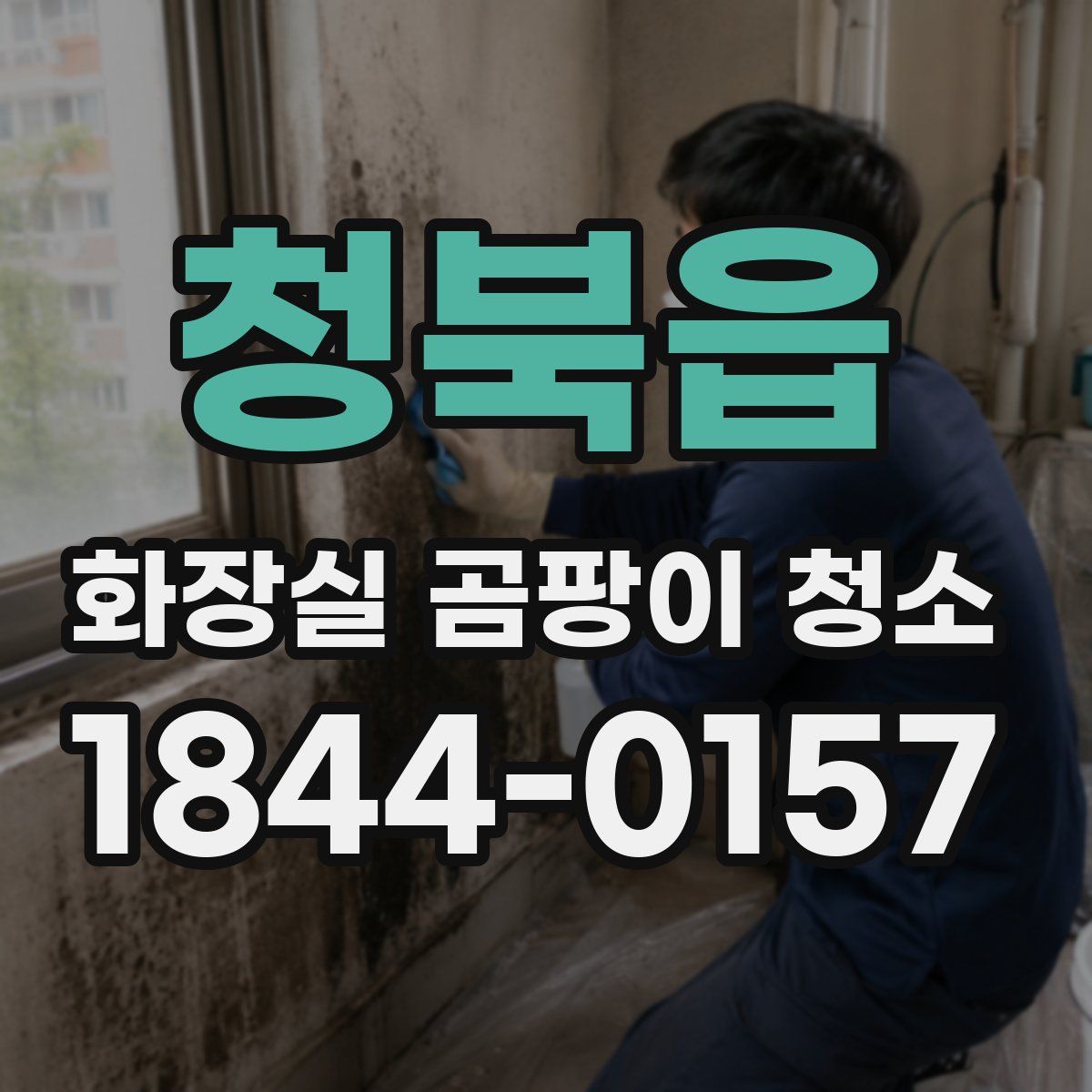 청북읍 화장실 곰팡이 청소