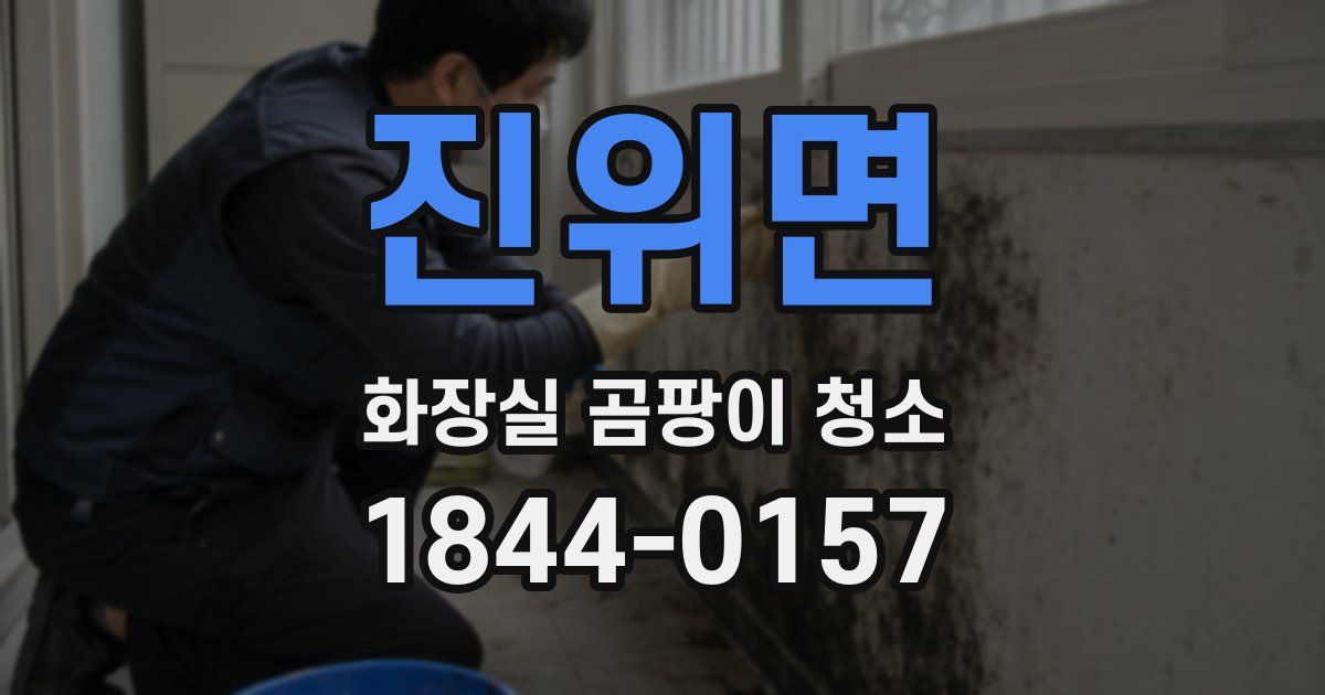 진위면 화장실 곰팡이 청소
