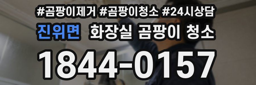 진위면 화장실 곰팡이 청소